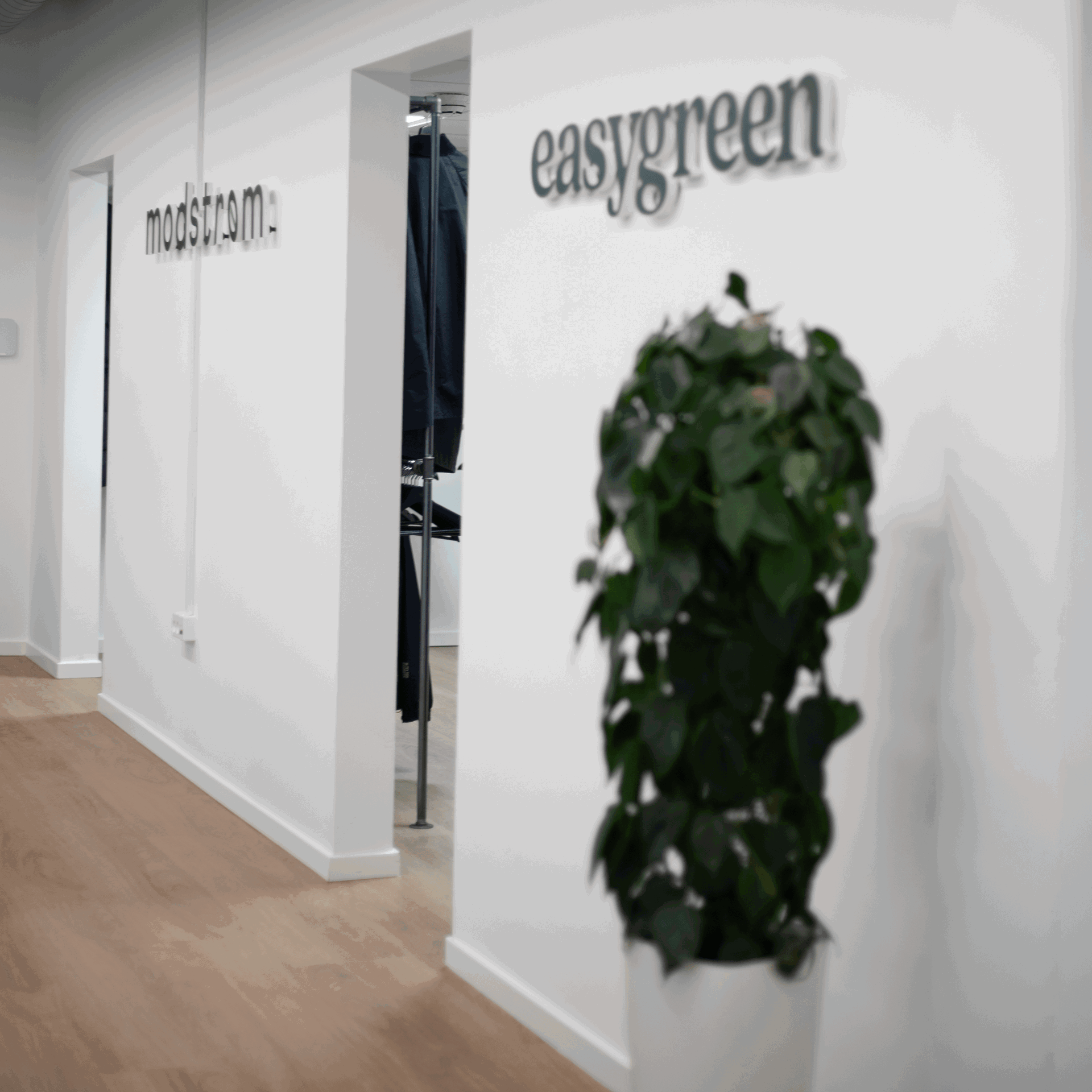 Elselskab Modstrøm historie EasyGreen historie